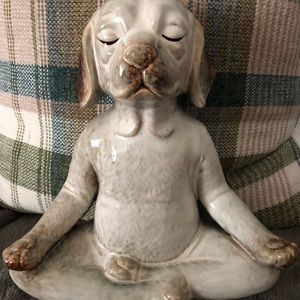 Yoga Dog